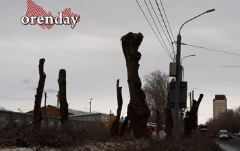 Оренбуржцы: проспект Бр. Коростелевых превратили в «аллею уродцев»