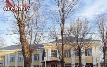 Оренбуржцы: учащихся школы №40 атакуют собаки