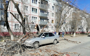 В Оренбурге из-за сильного ветра дерево упало прямо на автомобиль