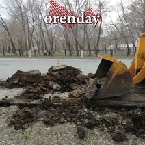 В Оренбурге утром побелили бордюры, а после обеда демонтировали