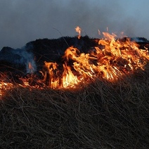 В Оренбуржье за сутки произошло 19 степных пожаров
