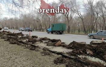 После публикации orenday начальнику УСДХ администрации Оренбурга внесено представление