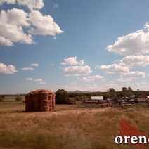 Экс-работники саракташского СП «Колос» более полугода ждут своей зарплаты