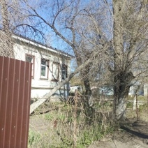 Оренбуржцы с пятницы не дождутся, когда уберут упавшее дерево