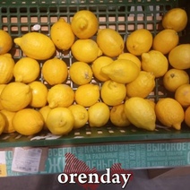 ФАС заинтересовалась дорогими лимонами на прилавках