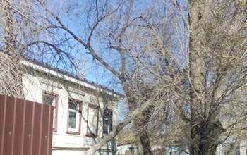 Оренбуржцы с пятницы не дождутся, когда уберут упавшее дерево