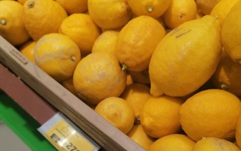 В Оренбурге снова наживаются на лимонах и имбире