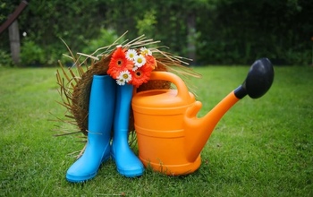 Начали работу с 11 мая: полное расписание дачных маршрутов в Оренбурге