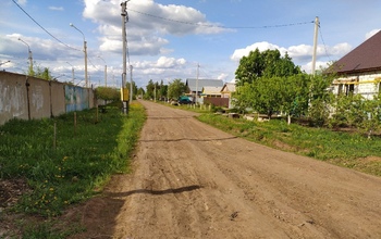 Бузулучане: двух живых щенят закопали прямо на улице города (18+)