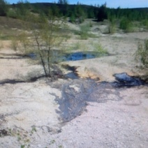 В Оренбуржье неизвестные слили нефть прямо на землю