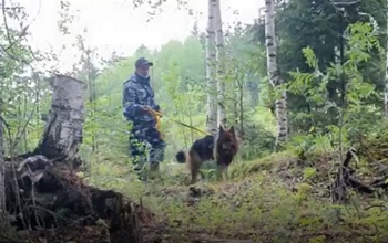 В Тюменской области спасли заблудившегося в лесу оренбуржца