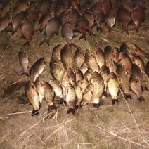 В Оренбуржье браконьер нанес ущерба на 120 000 рублей