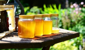 В Абдулино внучок похитил с пасеки бабушки около 25 ульев