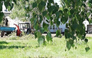 Под будущий парк в Подгородней Покровке вырубают деревья