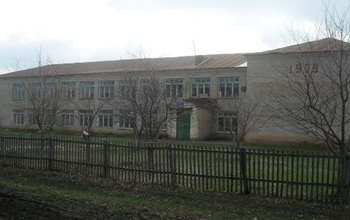 В Оренбуржье сельчане просят не закрывать их школу