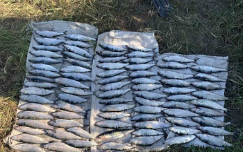 В Гайском горокруге задержан браконьер на лодке