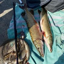 Орчанина за незаконную рыбалку могут посадить на два года