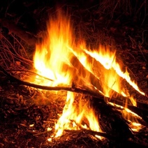 Бузулучане получили ожоги при попытке потушить оставленный кем-то костер