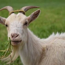 В Оренбургской области появилась криптовалюта 