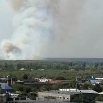 Майский пожар у поселка им. 9 Января причинил ущерб лесному фонду на 100 млн. рублей