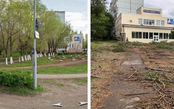 Зачем возле 9-й детской поликлиники в Оренбурге безжалостно вырубили сквер