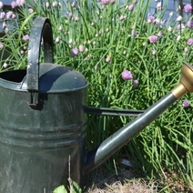 В Оренбурге из-за жары дачники испытывают трудности с поливом своих фазенд