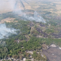 В Оренбуржье из-за жары горят степи и леса