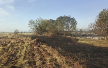 В Ташлинском районе спустя пять дней ликвидировали лесной пожар 