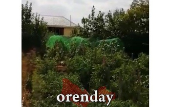 У жителей Сорочинска пересыхают огороды из-за отсутствия воды