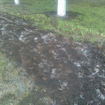 В Оренбуржье синоптики прогнозируют град