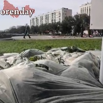 Благоустроили и забыли: оренбуржцы наблюдают необычный пейзаж в новом сквере