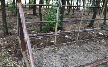 В Оренбурге лесополоса вдоль улицы Театральной находится в ужасном состоянии