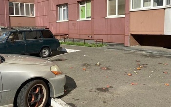 В Оренбурге на машины около дома по ул. Транспортной кто-то бросает овощи и яйца