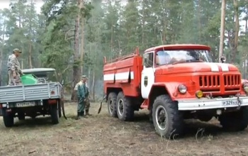 На месте выгоревших сосен в Бузулукском бору посадят новые