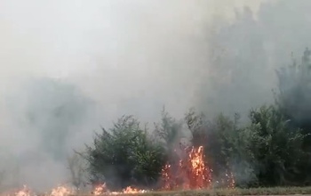 Под Оренбургом выгорели десять гектаров сухой травы