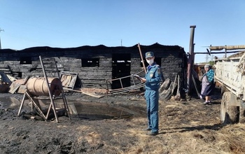 В Оренбуржье из-за детской шалости сгорело сено, зерно, хозпостройки и животные