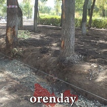 При благоустройстве парка Железнодорожников страдают деревья