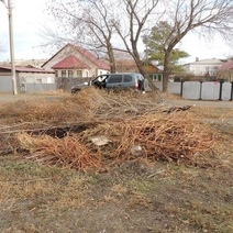 Мэр Оренбурга хочет ужесточить штрафы за нарушение Правил благоустройства