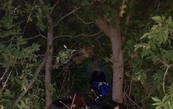 На мотоцикле в дерево: смертельное ДТП в Сакмарском районе (18+)