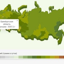 Сколько калорий съедают оренбуржцы