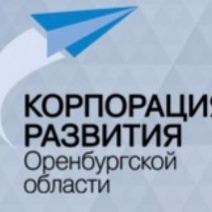 В чем еще уличили Корпорацию развития Оренбургской области