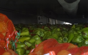В Оренбуржье на границе развернули пять машин с продуктами из Казахстана и Киргизии