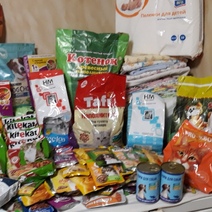 Детсадовцы устроили приятный сюрприз для бездомных животных приюта