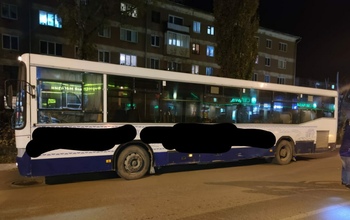 В Ясном автобус насмерть сбил 8-летнюю девочку (18+)
