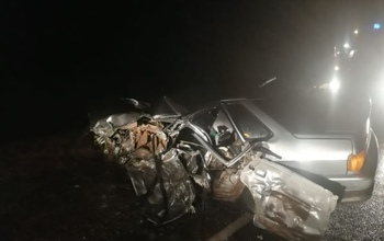 На трассе водитель ВАЗа погиб после столкновения со Scania (18+)