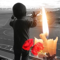 Сегодня мир вспоминает авиакатастрофу над Синайским полуостровом