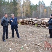 Судьбу мандата Владимира Фролова отсрочили из-за поездки в Бузулукский бор