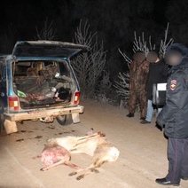 В Новоорском районе охотовед выслушал приговор за отстрел косуль