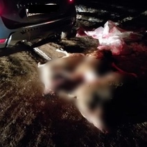 В Переволоцком районе задержаны трое подозреваемых в браконьерстве