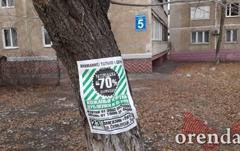 Жителям Оренбурга надоели расклеенные где ни попадя рекламные листовки